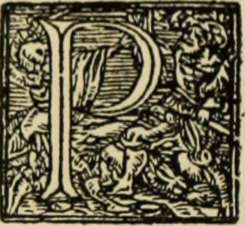 An illustration from Early woodcut initials : containing over thirteen hundred reproductions of ornamental letters of the fifteenth and sixteenth centuries, 1908, leaf 157
