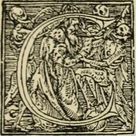 An illustration from Early woodcut initials : containing over thirteen hundred reproductions of ornamental letters of the fifteenth and sixteenth centuries, 1908, leaf 157