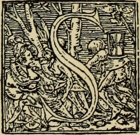 An illustration from Early woodcut initials : containing over thirteen hundred reproductions of ornamental letters of the fifteenth and sixteenth centuries, 1908, leaf 157