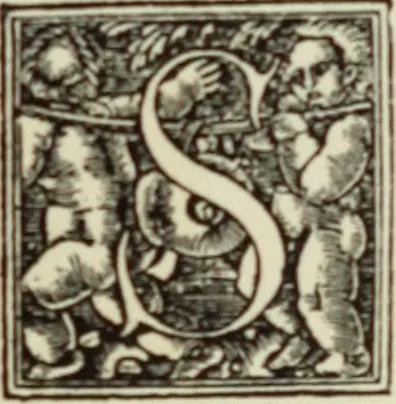 An illustration from Early woodcut initials : containing over thirteen hundred reproductions of ornamental letters of the fifteenth and sixteenth centuries, 1908, leaf 158