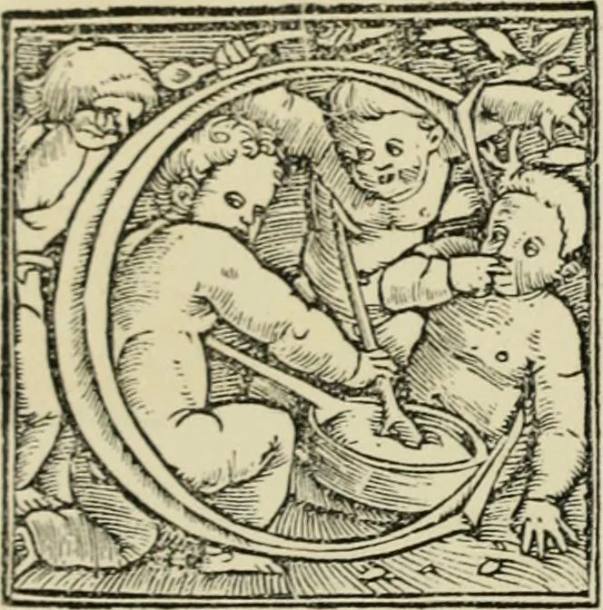 An illustration from Early woodcut initials : containing over thirteen hundred reproductions of ornamental letters of the fifteenth and sixteenth centuries, 1908, leaf 159