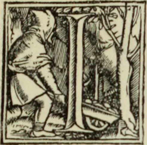 An illustration from Early woodcut initials : containing over thirteen hundred reproductions of ornamental letters of the fifteenth and sixteenth centuries, 1908, leaf 160