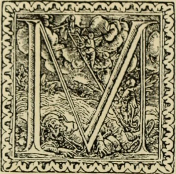 An illustration from Early woodcut initials : containing over thirteen hundred reproductions of ornamental letters of the fifteenth and sixteenth centuries, 1908, leaf 161