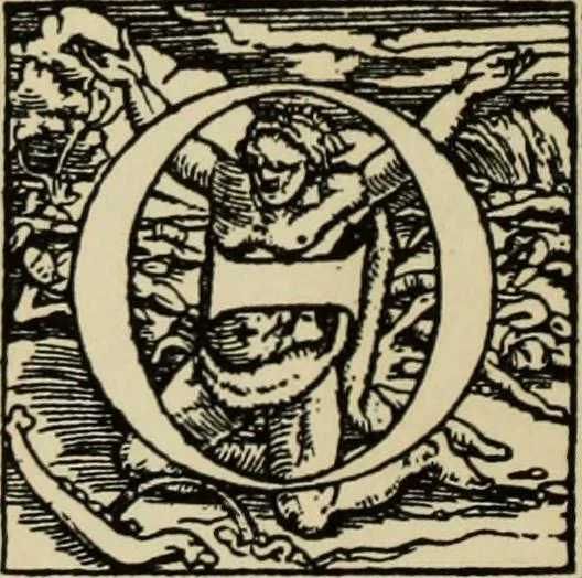 An illustration from Early woodcut initials : containing over thirteen hundred reproductions of ornamental letters of the fifteenth and sixteenth centuries, 1908, leaf 161