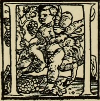 An illustration from Early woodcut initials : containing over thirteen hundred reproductions of ornamental letters of the fifteenth and sixteenth centuries, 1908, leaf 161