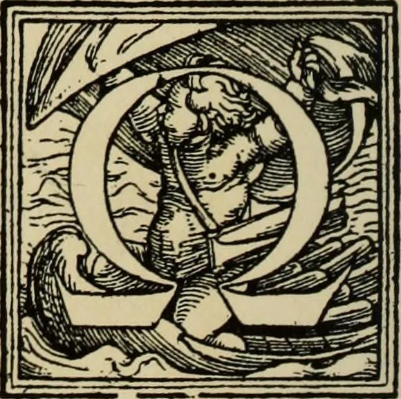 An illustration from Early woodcut initials : containing over thirteen hundred reproductions of ornamental letters of the fifteenth and sixteenth centuries, 1908, leaf 161