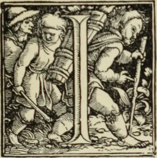 An illustration from Early woodcut initials : containing over thirteen hundred reproductions of ornamental letters of the fifteenth and sixteenth centuries, 1908, leaf 162