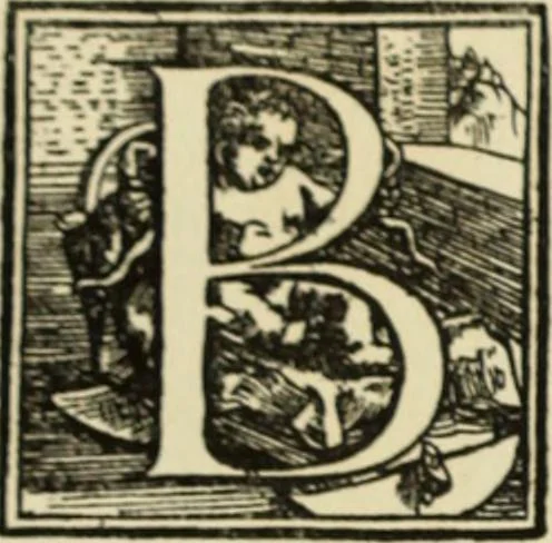 An illustration from Early woodcut initials : containing over thirteen hundred reproductions of ornamental letters of the fifteenth and sixteenth centuries, 1908, leaf 163