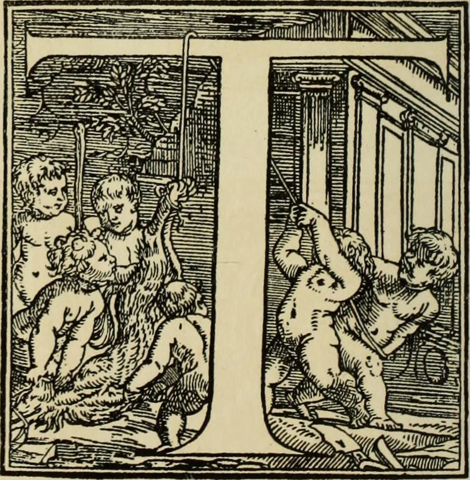 An illustration from Early woodcut initials : containing over thirteen hundred reproductions of ornamental letters of the fifteenth and sixteenth centuries, 1908, leaf 163
