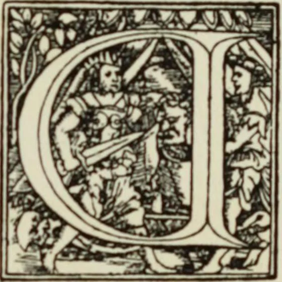An illustration from Early woodcut initials : containing over thirteen hundred reproductions of ornamental letters of the fifteenth and sixteenth centuries, 1908, leaf 164