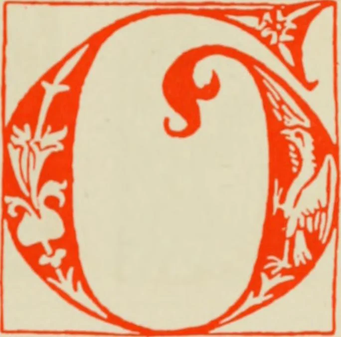 An illustration from Early woodcut initials : containing over thirteen hundred reproductions of ornamental letters of the fifteenth and sixteenth centuries, 1908, leaf 170