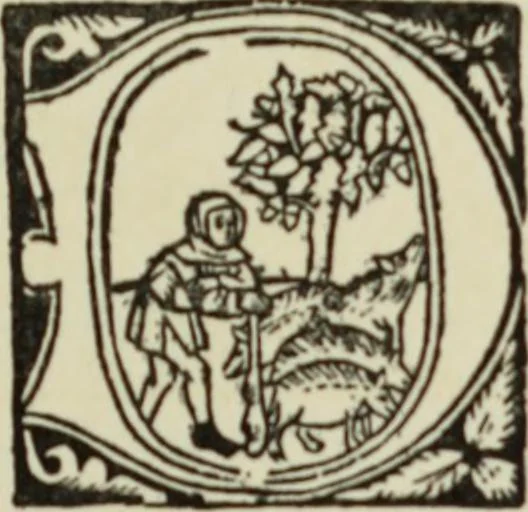 An illustration from Early woodcut initials : containing over thirteen hundred reproductions of ornamental letters of the fifteenth and sixteenth centuries, 1908, leaf 174