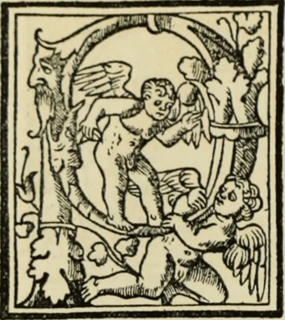 An illustration from Early woodcut initials : containing over thirteen hundred reproductions of ornamental letters of the fifteenth and sixteenth centuries, 1908, leaf 193