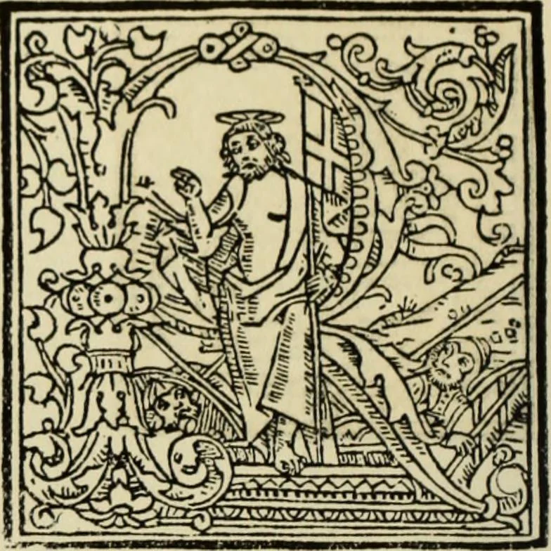An illustration from Early woodcut initials : containing over thirteen hundred reproductions of ornamental letters of the fifteenth and sixteenth centuries, 1908, leaf 211