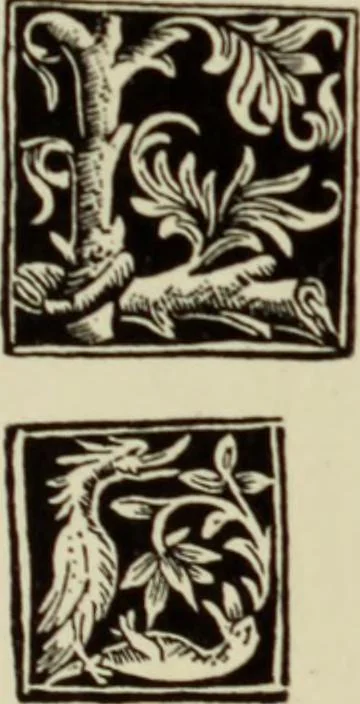 An illustration from Early woodcut initials : containing over thirteen hundred reproductions of ornamental letters of the fifteenth and sixteenth centuries, 1908, leaf 218
