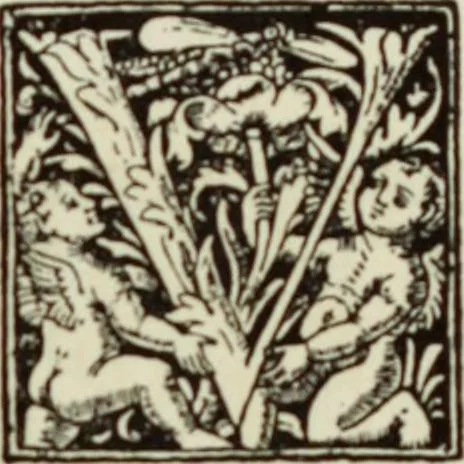 An illustration from Early woodcut initials : containing over thirteen hundred reproductions of ornamental letters of the fifteenth and sixteenth centuries, 1908, leaf 230