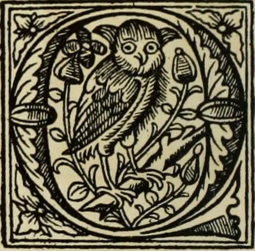 An illustration from Early woodcut initials : containing over thirteen hundred reproductions of ornamental letters of the fifteenth and sixteenth centuries, 1908, leaf 241