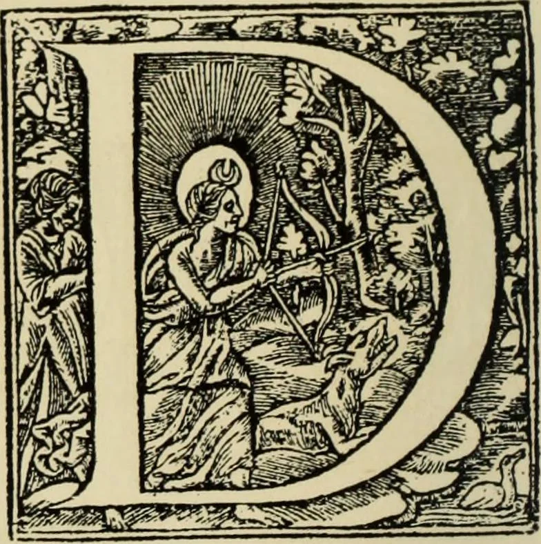 An illustration from Early woodcut initials : containing over thirteen hundred reproductions of ornamental letters of the fifteenth and sixteenth centuries, 1908, leaf 243