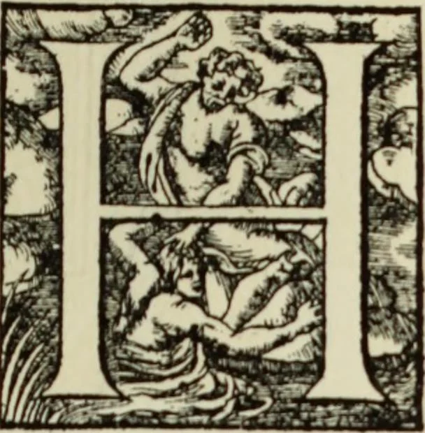 An illustration from Early woodcut initials : containing over thirteen hundred reproductions of ornamental letters of the fifteenth and sixteenth centuries, 1908, leaf 244
