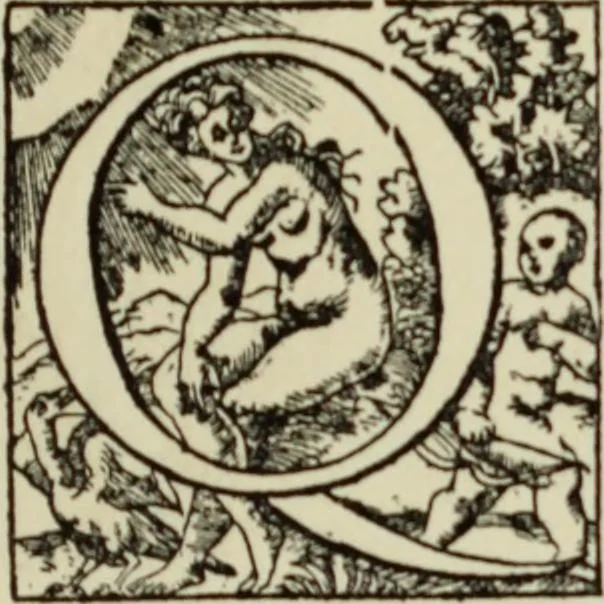An illustration from Early woodcut initials : containing over thirteen hundred reproductions of ornamental letters of the fifteenth and sixteenth centuries, 1908, leaf 244
