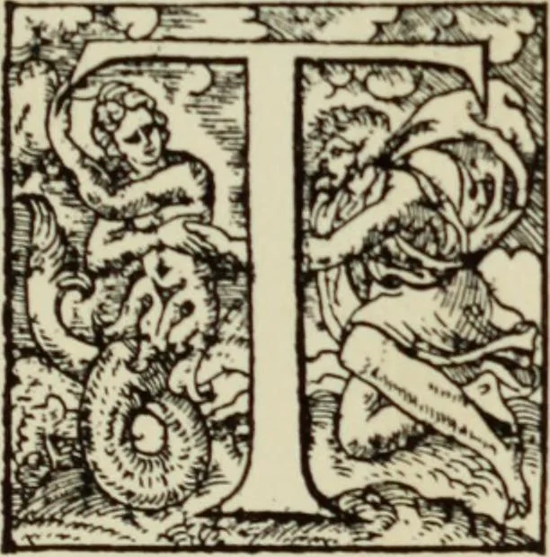 An illustration from Early woodcut initials : containing over thirteen hundred reproductions of ornamental letters of the fifteenth and sixteenth centuries, 1908, leaf 244