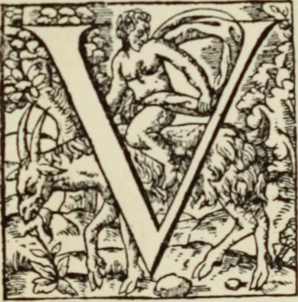 An illustration from Early woodcut initials : containing over thirteen hundred reproductions of ornamental letters of the fifteenth and sixteenth centuries, 1908, leaf 244