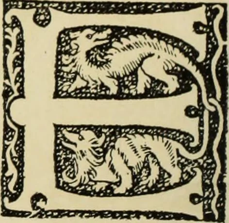 An illustration from Early woodcut initials : containing over thirteen hundred reproductions of ornamental letters of the fifteenth and sixteenth centuries, 1908, leaf 247