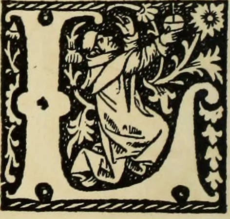 An illustration from Early woodcut initials : containing over thirteen hundred reproductions of ornamental letters of the fifteenth and sixteenth centuries, 1908, leaf 247