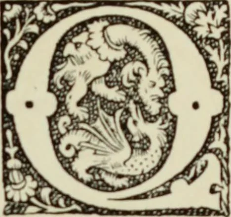 An illustration from Early woodcut initials : containing over thirteen hundred reproductions of ornamental letters of the fifteenth and sixteenth centuries, 1908, leaf 248