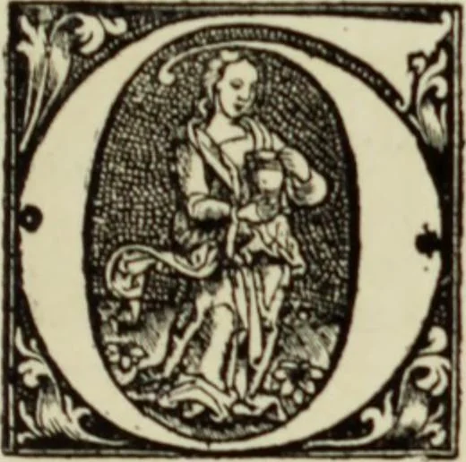 An illustration from Early woodcut initials : containing over thirteen hundred reproductions of ornamental letters of the fifteenth and sixteenth centuries, 1908, leaf 252