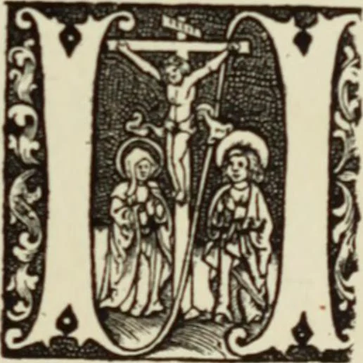 An illustration from Early woodcut initials : containing over thirteen hundred reproductions of ornamental letters of the fifteenth and sixteenth centuries, 1908, leaf 252