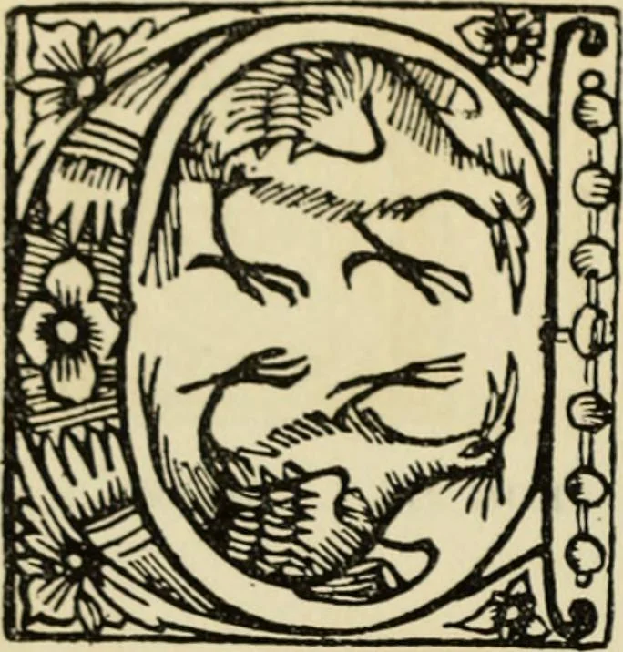 An illustration from Early woodcut initials : containing over thirteen hundred reproductions of ornamental letters of the fifteenth and sixteenth centuries, 1908, leaf 261