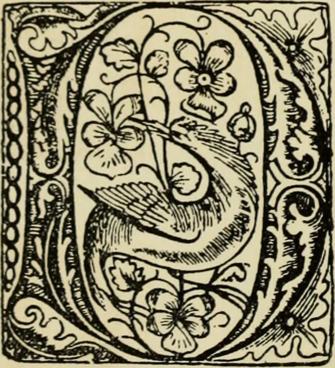 An illustration from Early woodcut initials : containing over thirteen hundred reproductions of ornamental letters of the fifteenth and sixteenth centuries, 1908, leaf 261
