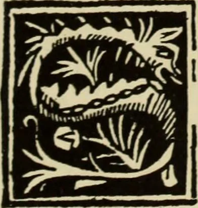 An illustration from Early woodcut initials : containing over thirteen hundred reproductions of ornamental letters of the fifteenth and sixteenth centuries, 1908, leaf 271