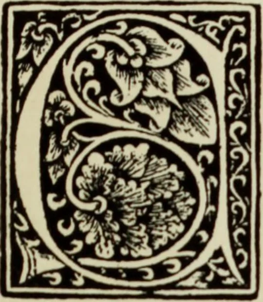 An illustration from Early woodcut initials : containing over thirteen hundred reproductions of ornamental letters of the fifteenth and sixteenth centuries, 1908, leaf 272