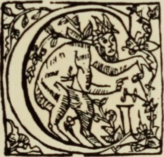 An illustration from Early woodcut initials : containing over thirteen hundred reproductions of ornamental letters of the fifteenth and sixteenth centuries, 1908, leaf 272