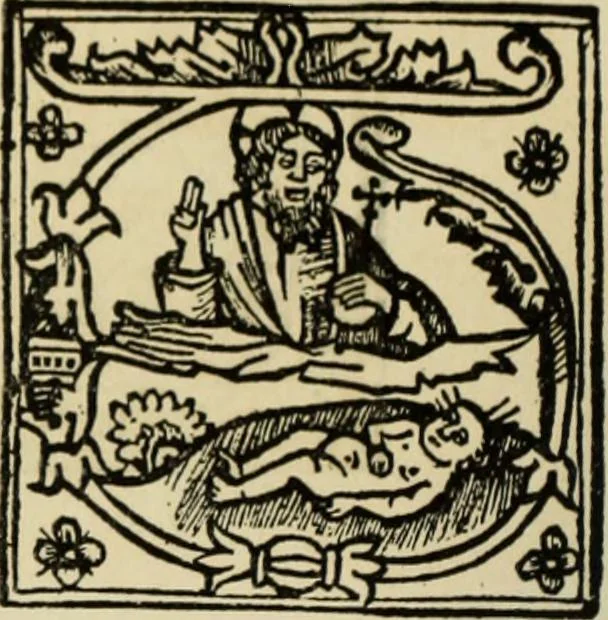 An illustration from Early woodcut initials : containing over thirteen hundred reproductions of ornamental letters of the fifteenth and sixteenth centuries, 1908, leaf 273