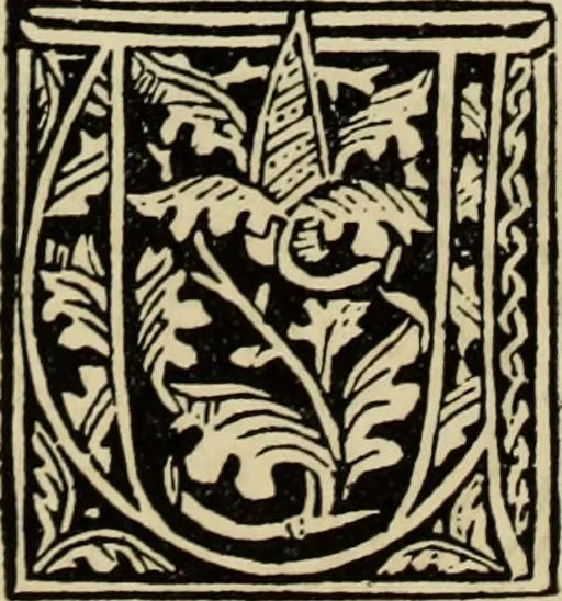An illustration from Early woodcut initials : containing over thirteen hundred reproductions of ornamental letters of the fifteenth and sixteenth centuries, 1908, leaf 273