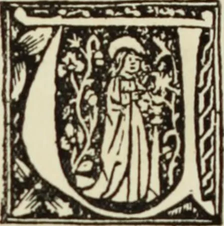 An illustration from Early woodcut initials : containing over thirteen hundred reproductions of ornamental letters of the fifteenth and sixteenth centuries, 1908, leaf 276