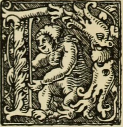 An illustration from Early woodcut initials : containing over thirteen hundred reproductions of ornamental letters of the fifteenth and sixteenth centuries, 1908, leaf 289