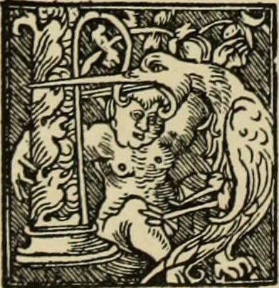 An illustration from Early woodcut initials : containing over thirteen hundred reproductions of ornamental letters of the fifteenth and sixteenth centuries, 1908, leaf 289