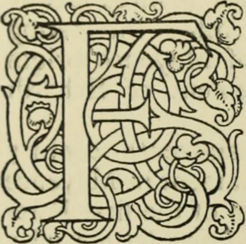 An illustration from Early woodcut initials : containing over thirteen hundred reproductions of ornamental letters of the fifteenth and sixteenth centuries, 1908, leaf 29