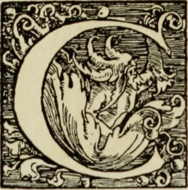 An illustration from Early woodcut initials : containing over thirteen hundred reproductions of ornamental letters of the fifteenth and sixteenth centuries, 1908, leaf 290