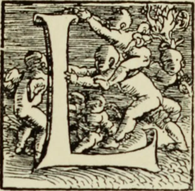 An illustration from Early woodcut initials : containing over thirteen hundred reproductions of ornamental letters of the fifteenth and sixteenth centuries, 1908, leaf 290