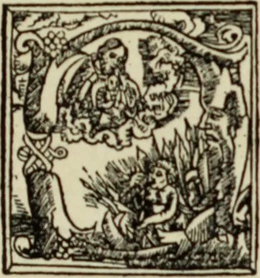 An illustration from Early woodcut initials : containing over thirteen hundred reproductions of ornamental letters of the fifteenth and sixteenth centuries, 1908, leaf 290