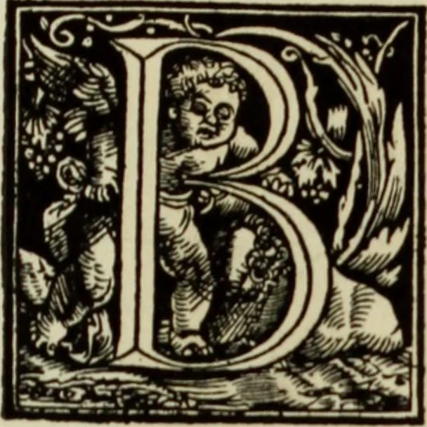 An illustration from Early woodcut initials : containing over thirteen hundred reproductions of ornamental letters of the fifteenth and sixteenth centuries, 1908, leaf 292