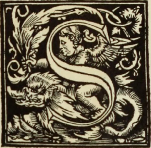 An illustration from Early woodcut initials : containing over thirteen hundred reproductions of ornamental letters of the fifteenth and sixteenth centuries, 1908, leaf 292