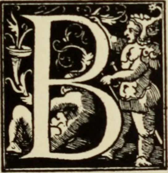 An illustration from Early woodcut initials : containing over thirteen hundred reproductions of ornamental letters of the fifteenth and sixteenth centuries, 1908, leaf 292