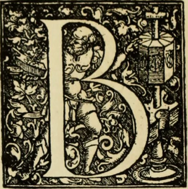 An illustration from Early woodcut initials : containing over thirteen hundred reproductions of ornamental letters of the fifteenth and sixteenth centuries, 1908, leaf 293