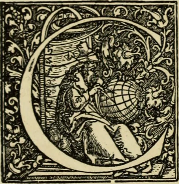 An illustration from Early woodcut initials : containing over thirteen hundred reproductions of ornamental letters of the fifteenth and sixteenth centuries, 1908, leaf 293